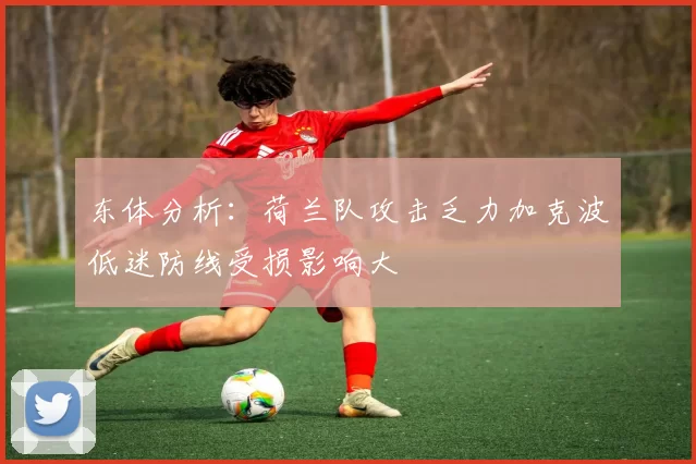 东体分析：荷兰队攻击乏力加克波低迷防线受损影响大