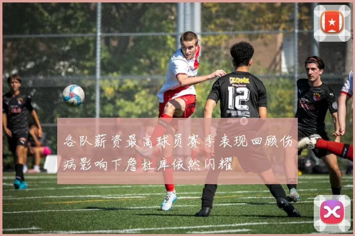 各队薪资最高球员赛季表现回顾伤病影响下詹杜库依然闪耀
