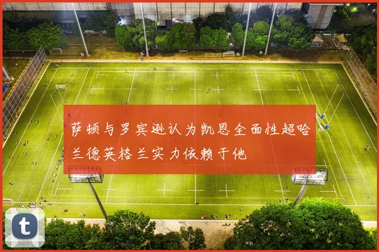 萨顿与罗宾逊认为凯恩全面性超哈兰德英格兰实力依赖于他